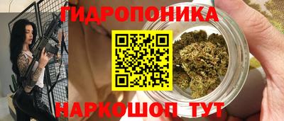 прущие грибы Усть-Джегута