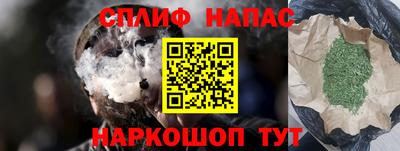 прущие грибы Усть-Джегута
