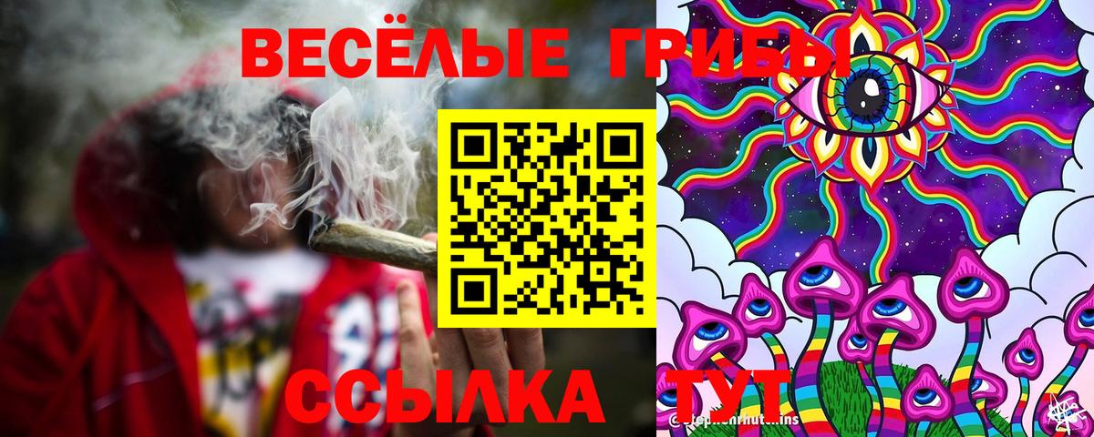 где купить   Галлюциногенные грибы GOLDEN TEACHER  Вход с VPN  Назрань 